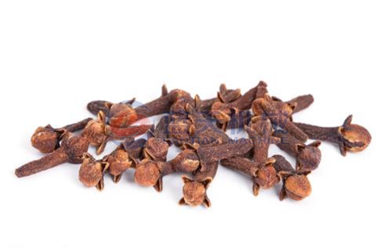 clove dryer drying effect