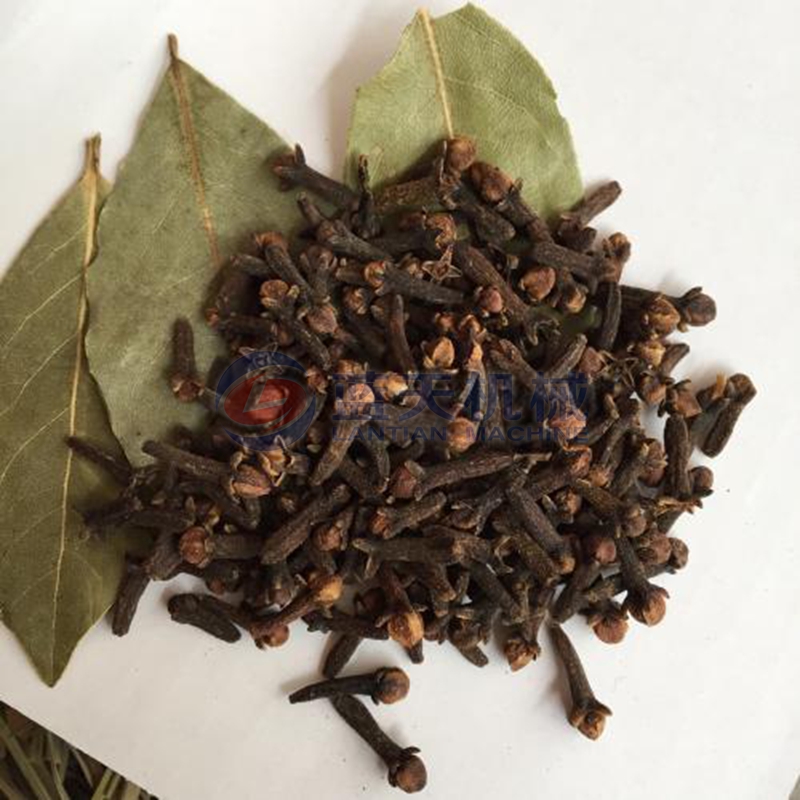 clove dryer drying effect