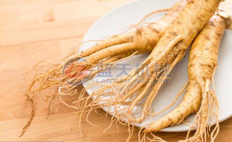 ginseng before drying