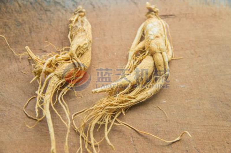 ginseng dryer drying effect