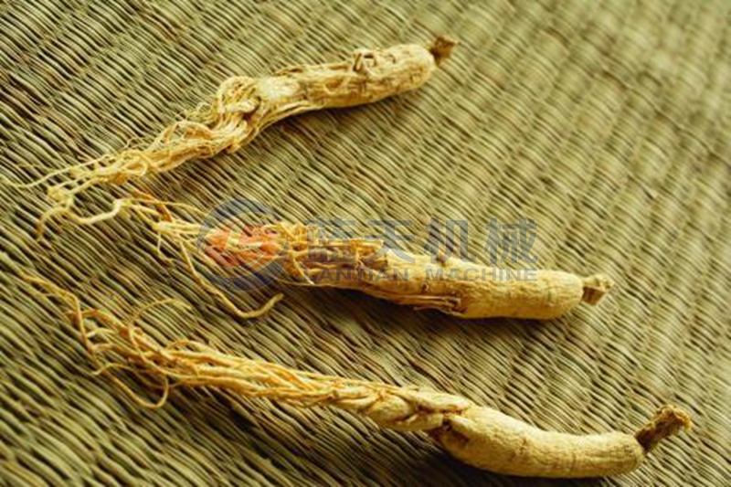 ginseng dryer drying effect