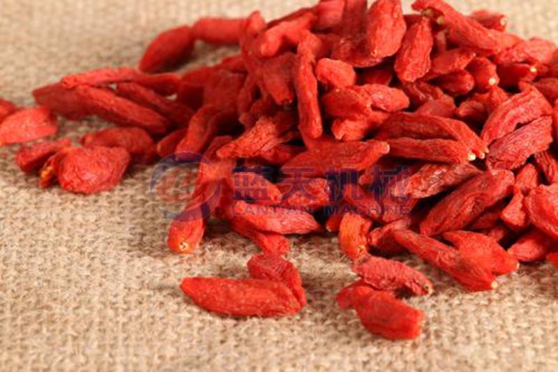 goji berry dryer drying effect