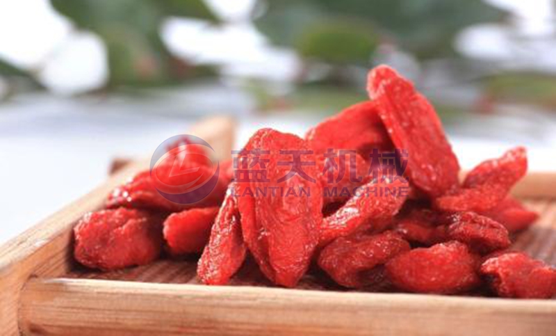 goji berry dryer drying effect