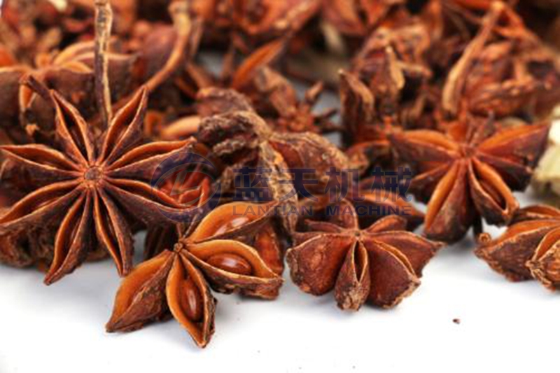 illicium verum dryer drying effect