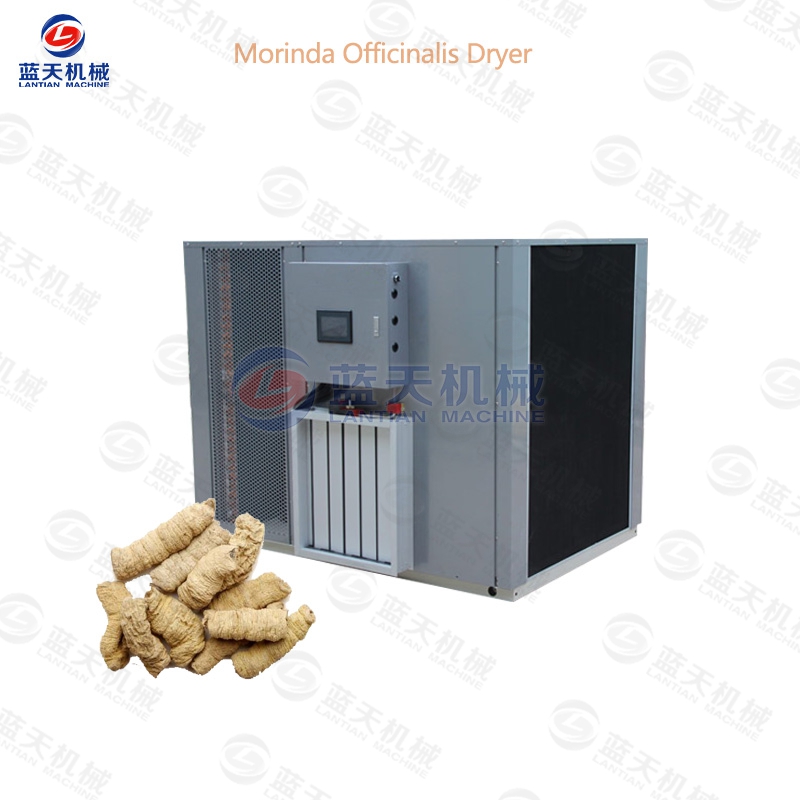 Morinda Officinalis Dryer