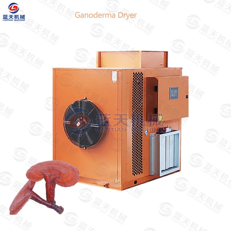 Ganoderma dryer