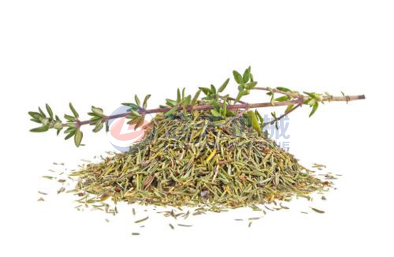 thyme dryer drying effect