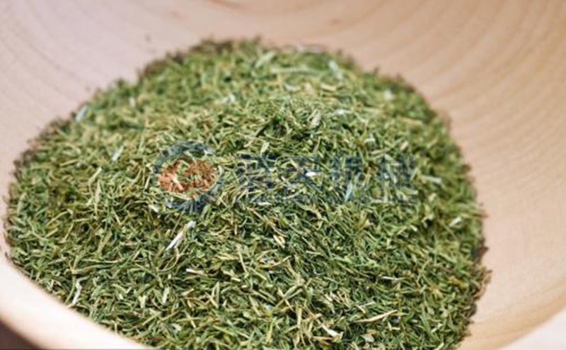 thyme dryer drying effect