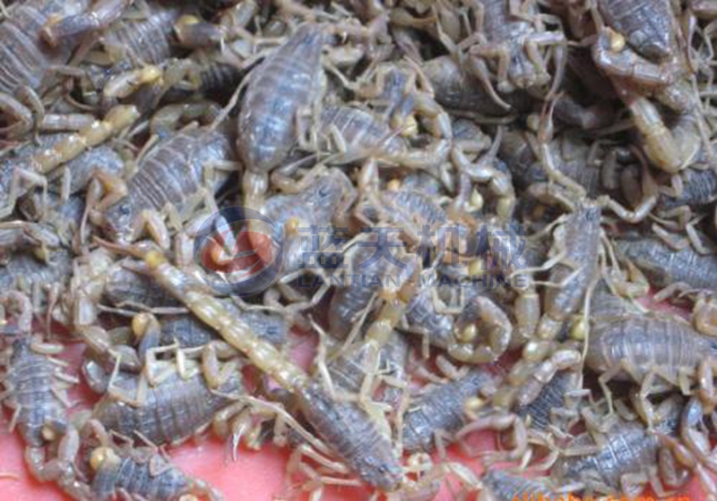 scorpion dryer drying effect