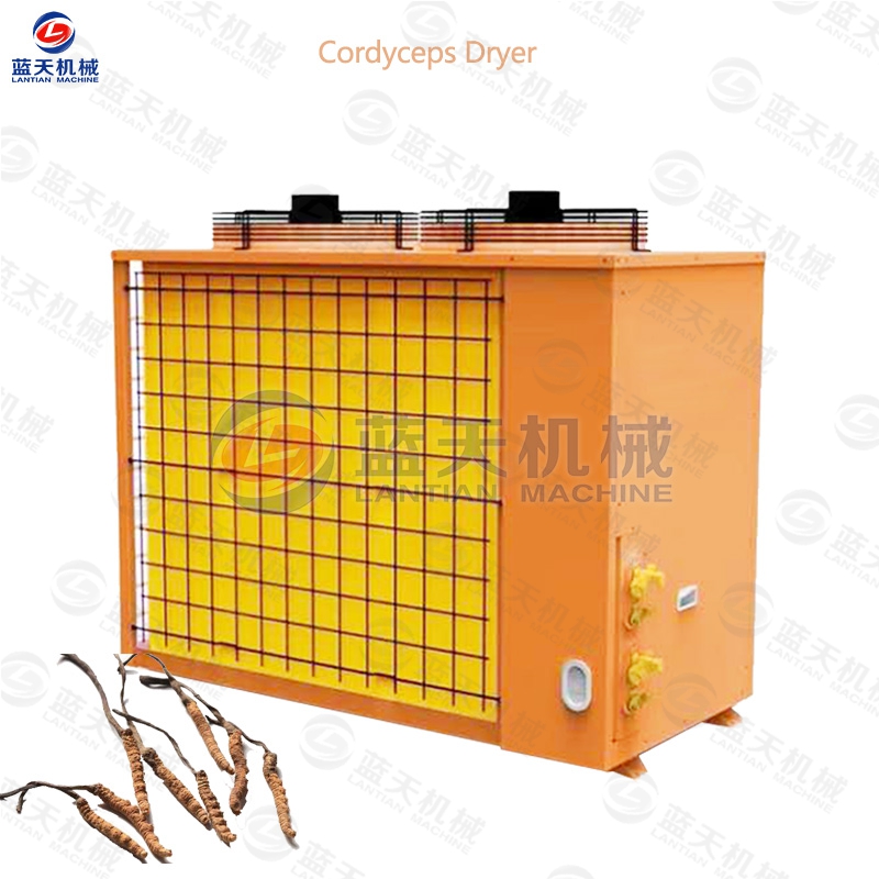 cordyceps dryer