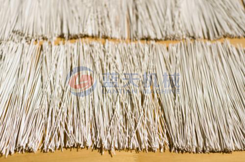 noodles dryer drying effect