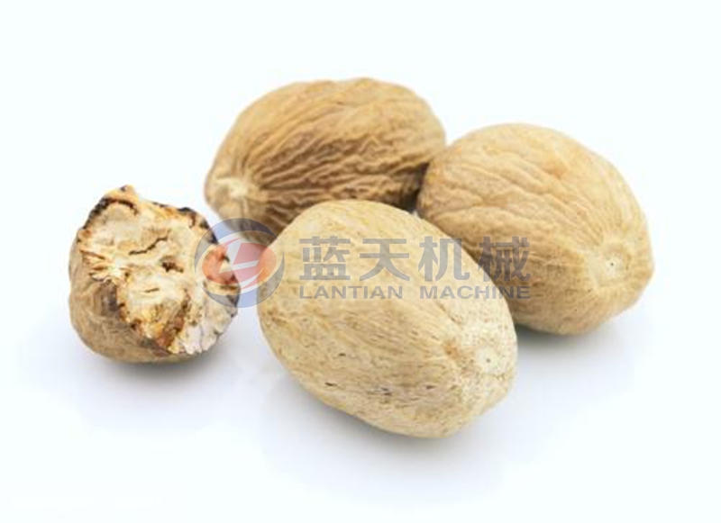 nutmeg dryer drying effect