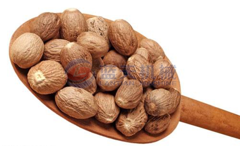 nutmeg dryer drying effect