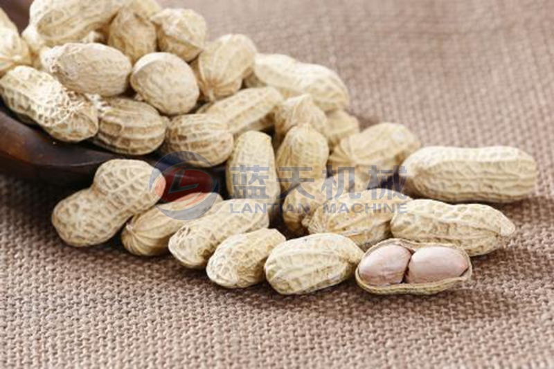 peanut dryer drying effect