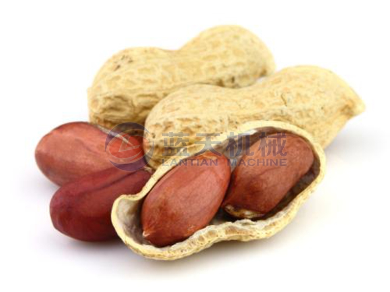 peanut dryer drying effect