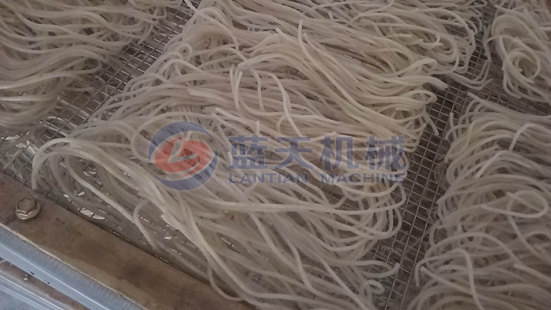 vermicelli drying site