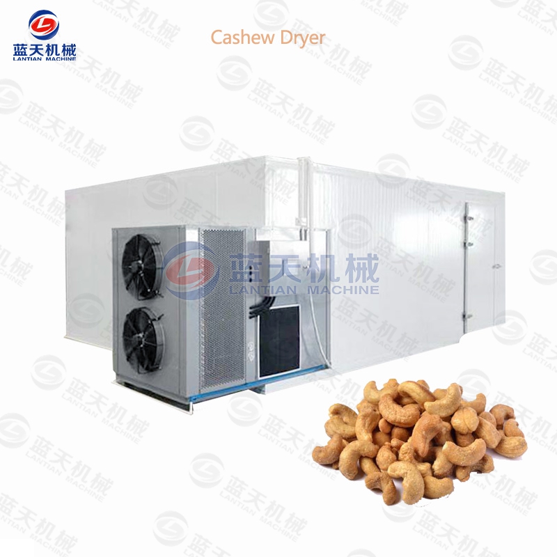 Cashew Dryer