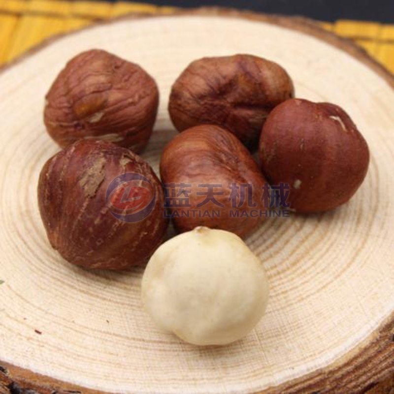 hazelnut dryer drying effect