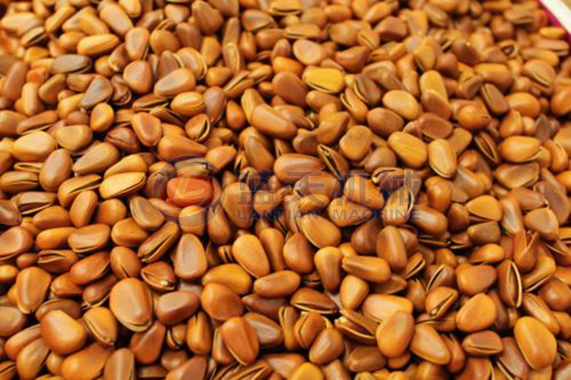 Pine nuts dryer drying effect