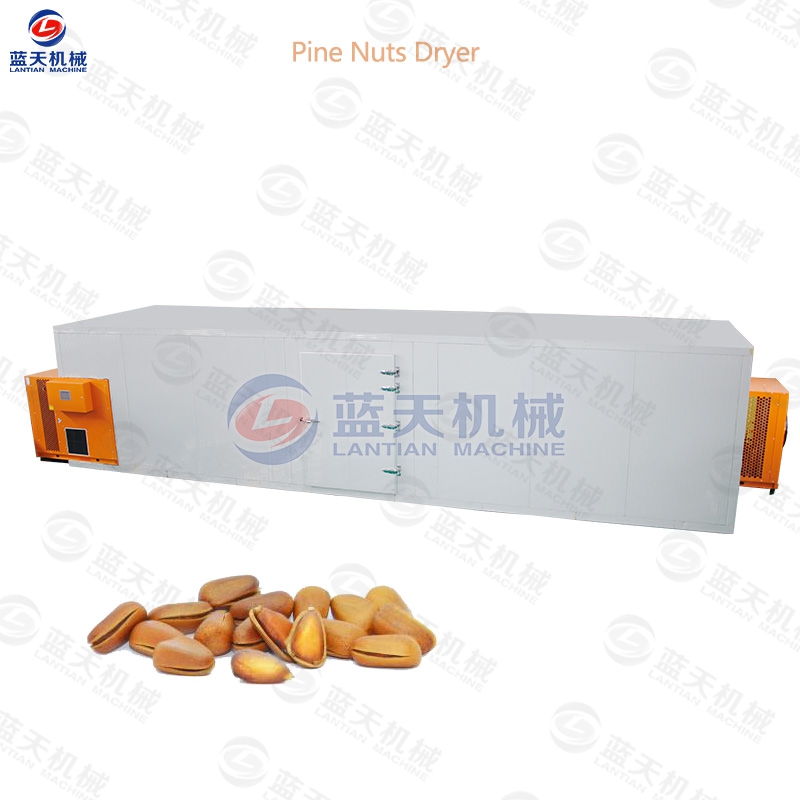 Pine nuts dryer
