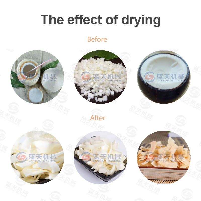 coconut meat dryer comparison of drying effect