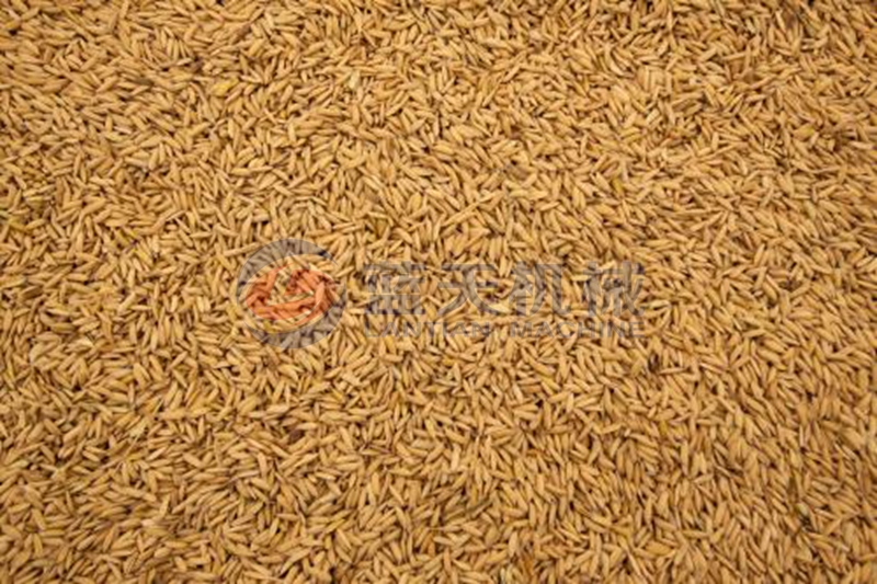 paddy dryer drying effect