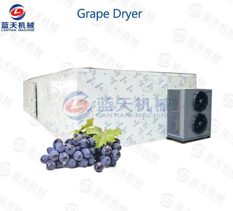 Grape Dryer