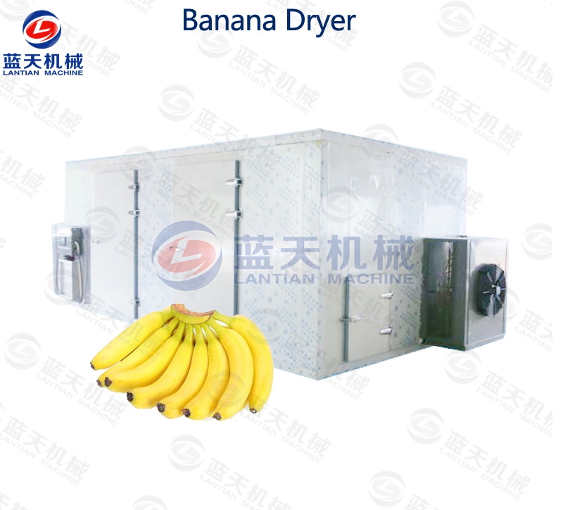 Banana Dryer