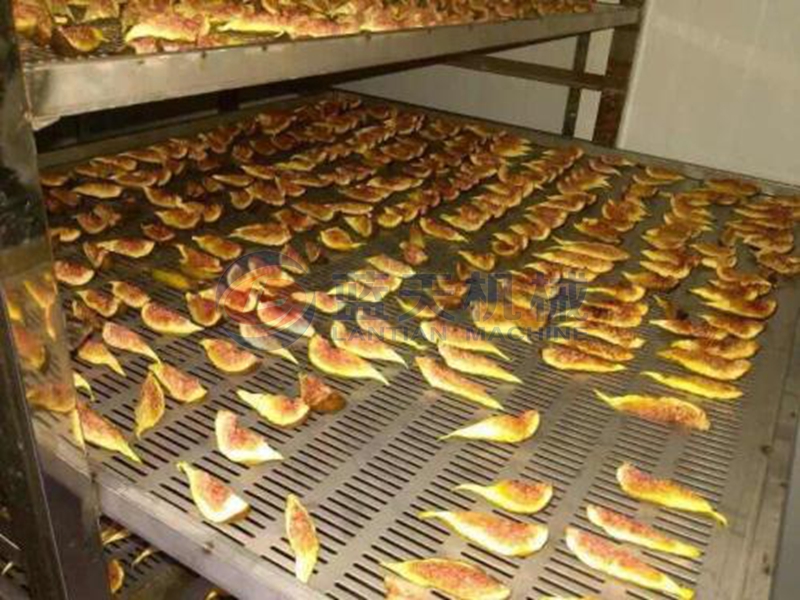 fig dryer machine drying effect