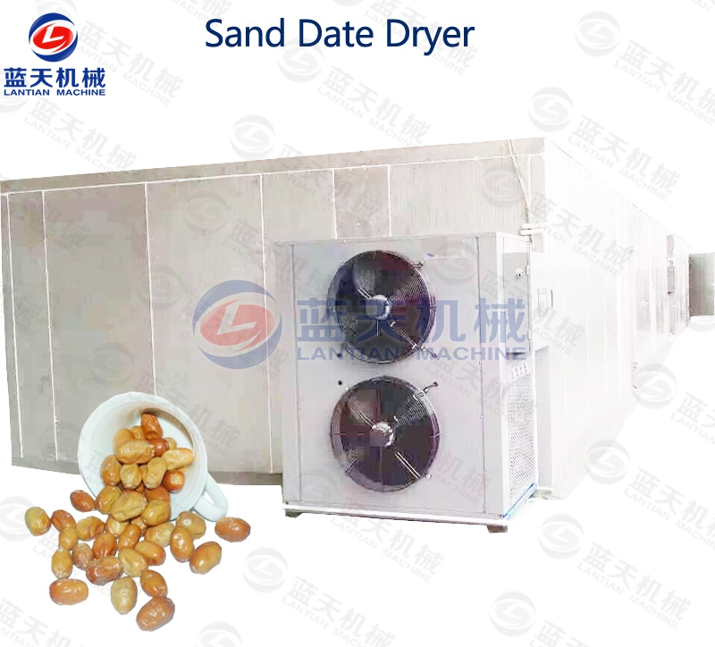 Sand Date Dryer