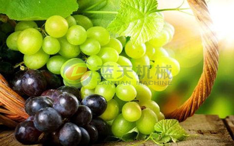 grape dryer machine