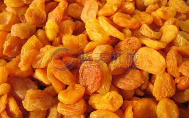 apricots dryer machine comparison of drying effect