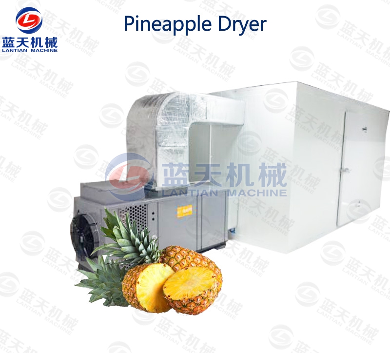 pineapple dryer