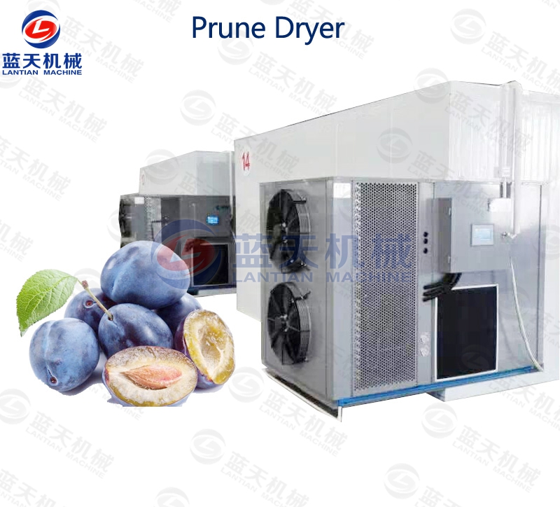 prune dryer