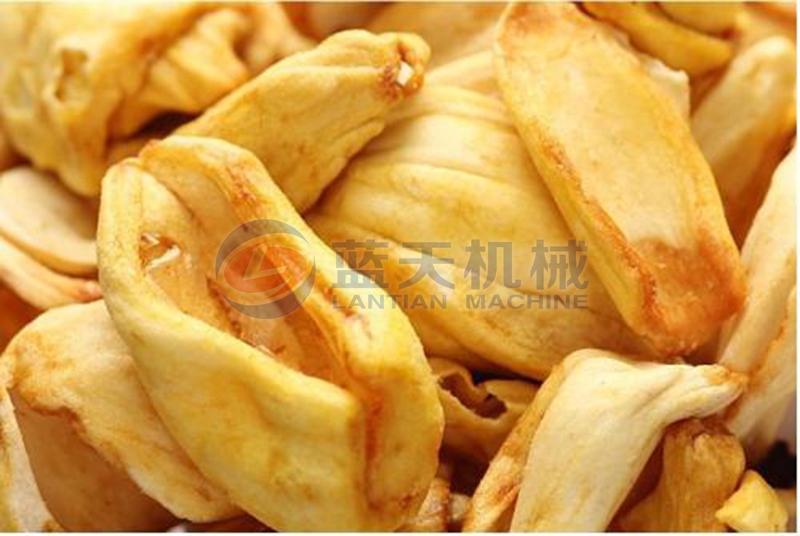 Jackfruit dryer drying effect