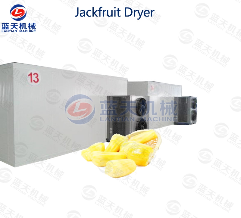 Jackfruit dryer