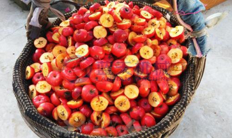 Sand fruit dryer drying effect