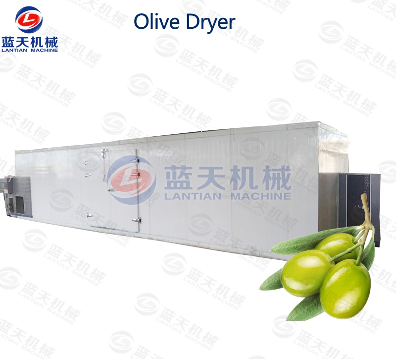 Olive Dryer