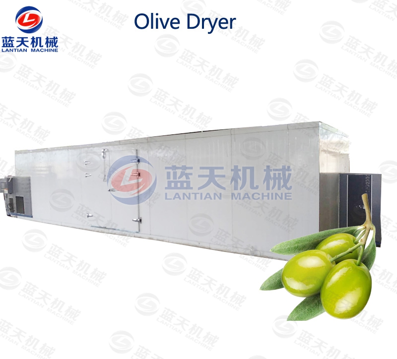 Olive dryer