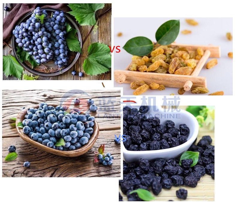 Comparison of other fruit drying effects