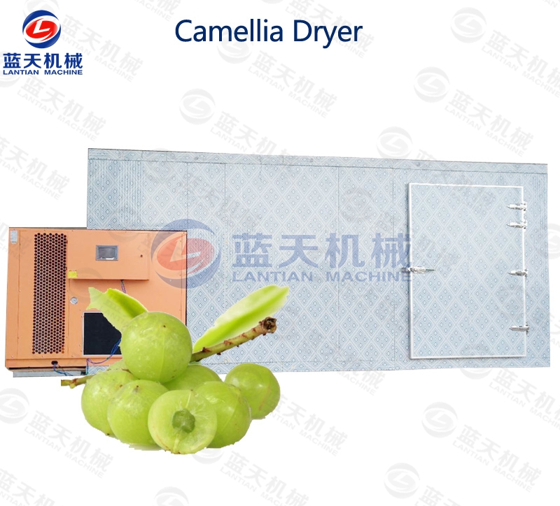 Camellia Dryer