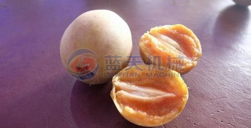 Sapodilla dryer drying effect