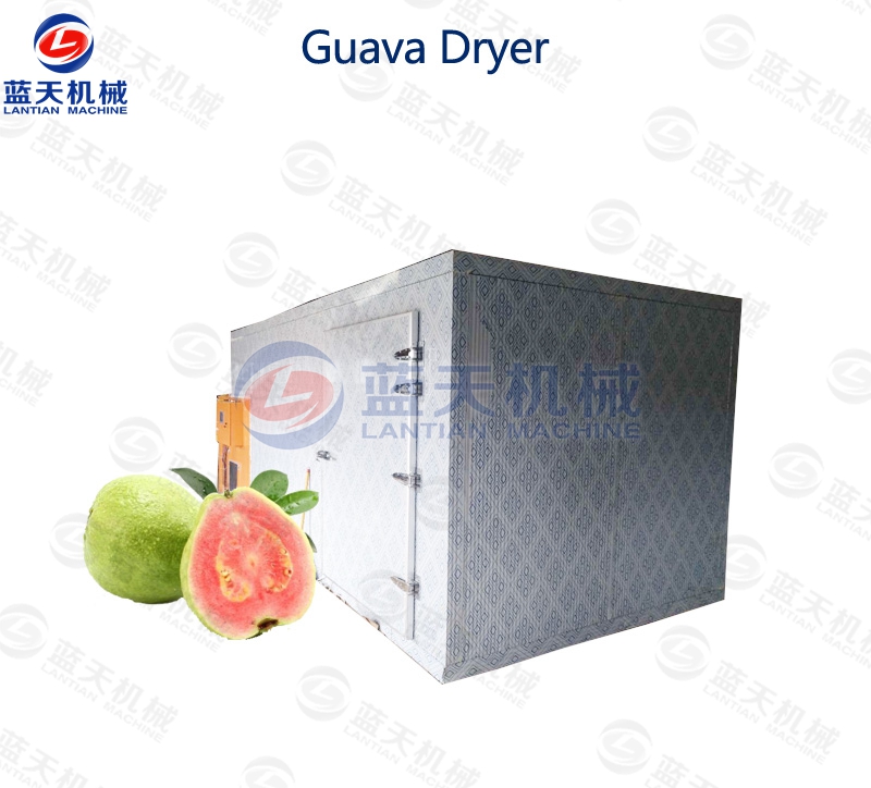 Guava Dryer