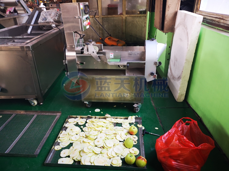 apple slice preparation before drying