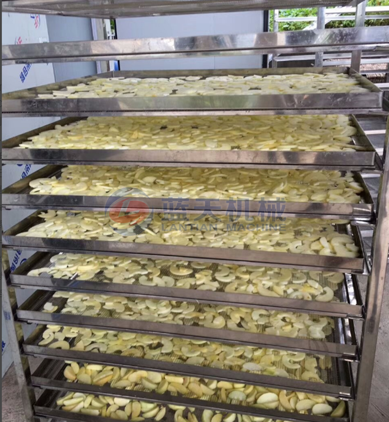 apple drier drying site