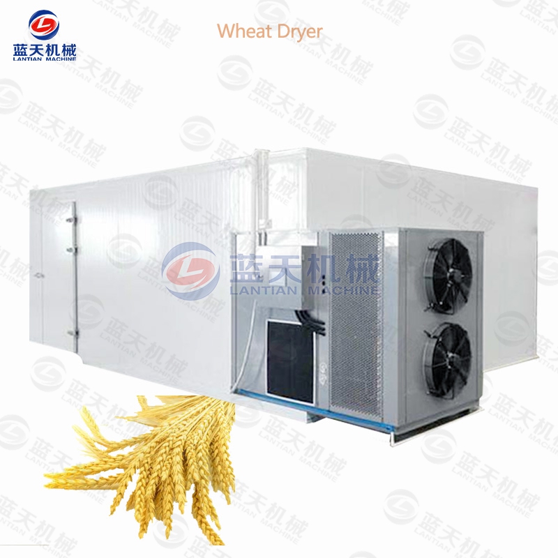 wheat dryer