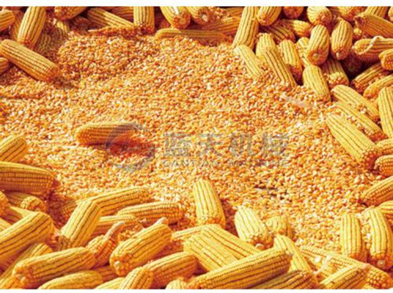 maize dryer drying effect
