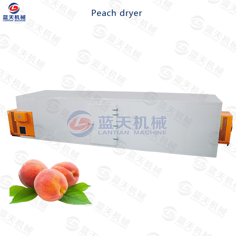 Peach dryer