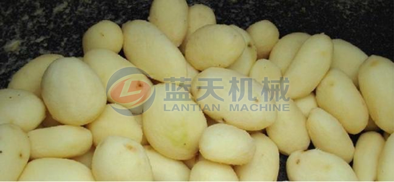 potato washing machine wash effect