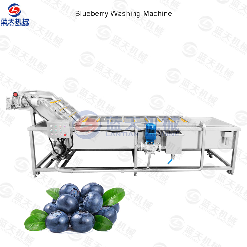 blueberry washing machine